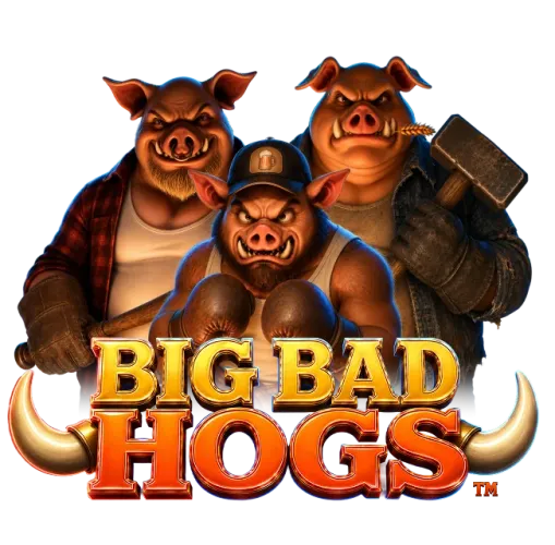 hero_img_bbhn